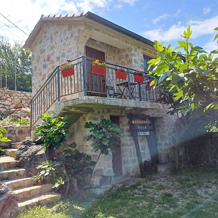 Vila Pegaz Virpazar Buitenkant foto