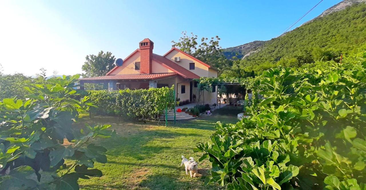 Vila Pegaz Virpazar Buitenkant foto