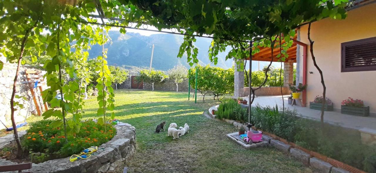 Vila Pegaz Virpazar Buitenkant foto